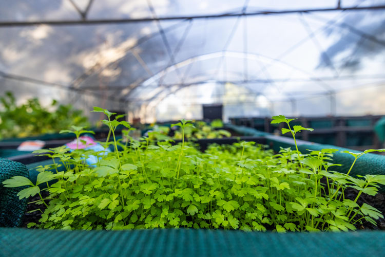 Amakhala - Volunteer Compound, Patterson - June 2025-42